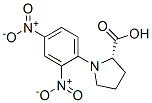 N-(2,4-二硝基苯基)脯氨酸結(jié)構(gòu)式_10200-25-6結(jié)構(gòu)式