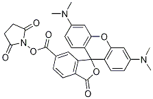 2-(6-Tetramethylrhodamine)carboxylic acid n-hydroxysuccinimide esterStructure,1027512-41-9Structure 2-(6-Tetramethylrhodamine)carboxylic acid n-hydroxysuccinimide ester Structure,1027512-41-9Structure