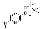 2-Pyridinamine, N,N-dimethyl-5-(4,4,5,5-tetramethyl-1,3,2-dioxaborolan-2-yl)-Structure,1036991-24-8Structure 2-Pyridinamine, N,N-dimethyl-5-(4,4,5,5-tetramethyl-1,3,2-dioxaborolan-2-yl)- Structure,1036991-24-8Structure