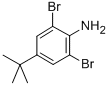 2,6-Dibromo-4-tert-butylanilineStructure,10546-67-5Structure 2,6-Dibromo-4-tert-butylaniline Structure,10546-67-5Structure