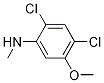 2,4-Dichloro-5-methoxy-n-methylanilineStructure,1072945-55-1Structure 2,4-Dichloro-5-methoxy-n-methylaniline Structure,1072945-55-1Structure