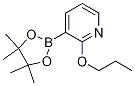 Pyridine, 2-propoxy-3-(4,4,5,5-tetramethyl-1,3,2-dioxaborolan-2-yl)-Structure,1073371-87-5Structure Pyridine, 2-propoxy-3-(4,4,5,5-tetramethyl-1,3,2-dioxaborolan-2-yl)- Structure,1073371-87-5Structure