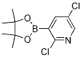 Pyridine, 2,5-dichloro-3-(4,4,5,5-tetramethyl-1,3,2-dioxaborolan-2-yl)-Structure,1073371-98-8Structure Pyridine, 2,5-dichloro-3-(4,4,5,5-tetramethyl-1,3,2-dioxaborolan-2-yl)- Structure,1073371-98-8Structure