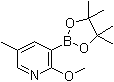 2-Methoxy-5-methyl-pyridine-3-boronic acid, picol esterStructure,1083168-84-6Structure 2-Methoxy-5-methyl-pyridine-3-boronic acid, picol ester Structure,1083168-84-6Structure