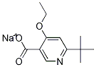 Sodium 6-tert-butyl-4-ethoxynicotinateStructure,1143519-21-4Structure Sodium 6-tert-butyl-4-ethoxynicotinate Structure,1143519-21-4Structure