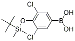4-(Tert-Butyldimethylsilyloxy)-3,5-dichlorophenylboronic acidStructure,1150114-46-7Structure 4-(Tert-Butyldimethylsilyloxy)-3,5-dichlorophenylboronic acid Structure,1150114-46-7Structure