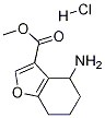 Methyl 4-amino-4,5,6,7-tetrahydrobenzofuran-3-carboxylate hydrochlorideStructure,1172813-04-5Structure Methyl 4-amino-4,5,6,7-tetrahydrobenzofuran-3-carboxylate hydrochloride Structure,1172813-04-5Structure