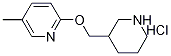 1185308-79-5結(jié)構(gòu)式