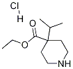 Ethyl 4-isopropyl-4-piperidinecarboxylate hydrochlorideStructure,1186663-19-3Structure Ethyl 4-isopropyl-4-piperidinecarboxylate hydrochloride Structure,1186663-19-3Structure