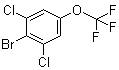 2,6-Dichloro-4-(trifluoromethoxy)bromobenzeneStructure,118754-55-5Structure 2,6-Dichloro-4-(trifluoromethoxy)bromobenzene Structure,118754-55-5Structure