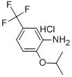 2-Isopropoxy-5-trifluoromethyl-phenylamineStructure,121307-23-1Structure 2-Isopropoxy-5-trifluoromethyl-phenylamine Structure,121307-23-1Structure