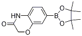 7-(4,4,5,5-四甲基-1,3,2-二噁硼烷-2-基)-2H-苯并[b][1,4]噁嗪-3(4h)-酮結(jié)構(gòu)式_1219130-57-0結(jié)構(gòu)式