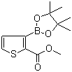 2-Methoxycarbonylthiophene-3-boronic acid pinacol esterStructure,1227664-10-9Structure 2-Methoxycarbonylthiophene-3-boronic acid pinacol ester Structure,1227664-10-9Structure