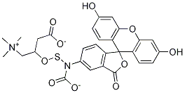 N-(5-fluoresceinyl)-l-carnitine-o-thiocarbamateStructure,1258239-73-4Structure N-(5-fluoresceinyl)-l-carnitine-o-thiocarbamate Structure,1258239-73-4Structure