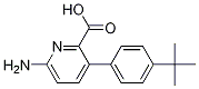 6-Amino-3-(4-t-butyl phenyl)picolinic acidStructure,1261913-25-0Structure 6-Amino-3-(4-t-butyl phenyl)picolinic acid Structure,1261913-25-0Structure