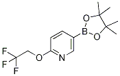5-(4,4,5,5-四甲基-1,3,2-二噁硼烷-2-基)-2-(2,2,2-三氟乙氧基)吡啶結(jié)構(gòu)式_1268467-17-9結(jié)構(gòu)式
