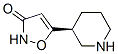 (s)-(9ci)-5-(3-哌啶基)-,3(2H)-異噁唑酮結(jié)構(gòu)式_132033-59-1結(jié)構(gòu)式