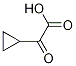 2-Cyclopropyl-2-oxoaceticacidStructure,13885-13-7Structure 2-Cyclopropyl-2-oxoaceticacid Structure,13885-13-7Structure