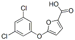 5-(3,5-Dichlorophenoxy)-2-furoic acidStructure,175277-06-2Structure 5-(3,5-Dichlorophenoxy)-2-furoic acid Structure,175277-06-2Structure