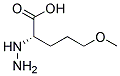 (s)-(9ci)-2-肼基-5-甲氧基-戊酸結構式_179746-89-5結構式