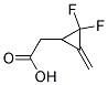 (9ci)-2,2-二氟-3-亞甲基-環(huán)丙烷乙酸結構式_199176-95-9結構式