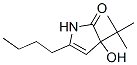 (9ci)-5-丁基-3-(1,1-二甲基乙基)-1,3-二氫-3-羥基-2H-吡咯-2-酮結(jié)構(gòu)式_210972-58-0結(jié)構(gòu)式