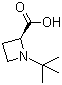 (S)-1-tert-butyl-2-azetidinecarboxylic acidStructure,255883-03-5Structure (S)-1-tert-butyl-2-azetidinecarboxylic acid Structure,255883-03-5Structure