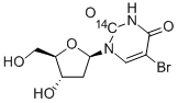 5-Bromo-2-deoxyuridine-2-14cStructure,26291-66-7Structure 5-Bromo-2-deoxyuridine-2-14c Structure,26291-66-7Structure