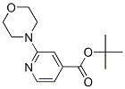 2-(4-Morpholinyl)-pyridine-4-carboxylic acid tert-butyl esterStructure,295349-63-2Structure 2-(4-Morpholinyl)-pyridine-4-carboxylic acid tert-butyl ester Structure,295349-63-2Structure