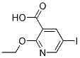 2-Ethoxy-5-iodonicotinic acidStructure,335078-07-4Structure 2-Ethoxy-5-iodonicotinic acid Structure,335078-07-4Structure
