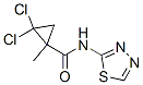 (9Ci)-2,2-二氯-1-甲基-N-1,3,4-噻二唑-2-基-環(huán)丙烷羧酰胺結(jié)構(gòu)式_345314-55-8結(jié)構(gòu)式