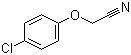 4-ChlorophenoxyacetonitrileStructure,3598-13-8Structure 4-Chlorophenoxyacetonitrile Structure,3598-13-8Structure
