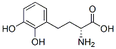 (2R)-2-amino-4-(2,3-dihydroxyphenyl)butanoic acidStructure,372510-80-0Structure (2R)-2-amino-4-(2,3-dihydroxyphenyl)butanoic acid Structure,372510-80-0Structure
