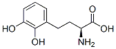 (2S)-2-amino-4-(2,3-dihydroxyphenyl)butanoic acidStructure,372510-81-1Structure (2S)-2-amino-4-(2,3-dihydroxyphenyl)butanoic acid Structure,372510-81-1Structure