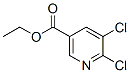 5,6-Dichloronicotinic acid ethyl esterStructure,401566-69-6Structure 5,6-Dichloronicotinic acid ethyl ester Structure,401566-69-6Structure
