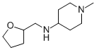 (1-Methyl-piperidin-4-yl)-(tetrahydro-furan-2-yl-methyl)-amineStructure,416869-66-4Structure (1-Methyl-piperidin-4-yl)-(tetrahydro-furan-2-yl-methyl)-amine Structure,416869-66-4Structure