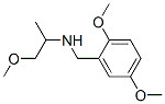 (2,5-Dimethoxy-benzyl)-(2-methoxy-1-methyl-ethyl)-amineStructure,436099-94-4Structure (2,5-Dimethoxy-benzyl)-(2-methoxy-1-methyl-ethyl)-amine Structure,436099-94-4Structure
