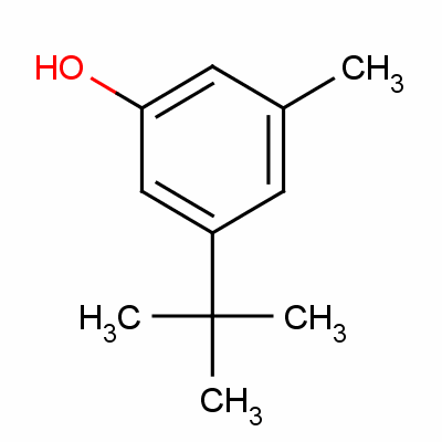 3-Methyl-5-tert-butyl-phenolStructure,4892-31-3Structure 3-Methyl-5-tert-butyl-phenol Structure,4892-31-3Structure