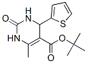 5-Pyrimidinecarboxylicacid,1,2,3,4-tetrahydro-6-methyl-2-oxo-4-(2-thienyl)-,1,1-dimethylethylester(9ci)Structure,500268-74-6Structure 5-Pyrimidinecarboxylicacid,1,2,3,4-tetrahydro-6-methyl-2-oxo-4-(2-thienyl)-,1,1-dimethylethylester(9ci) Structure,500268-74-6Structure