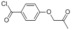 Benzoyl chloride,4-(2-oxopropoxy)-(9ci)Structure,500869-20-5Structure Benzoyl chloride,4-(2-oxopropoxy)-(9ci) Structure,500869-20-5Structure