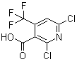 2,6-Dichloro-4-(trifluoromethyl)nicotinic acidStructure,503437-19-2Structure 2,6-Dichloro-4-(trifluoromethyl)nicotinic acid Structure,503437-19-2Structure