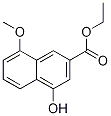 4-Hydroxy-8-methoxy-2-naphthalenecarboxylic acid ethyl esterStructure,538343-04-3Structure 4-Hydroxy-8-methoxy-2-naphthalenecarboxylic acid ethyl ester Structure,538343-04-3Structure