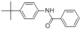 N-(4-叔丁基-苯基)-苯甲酰胺結(jié)構(gòu)式_59238-66-3結(jié)構(gòu)式