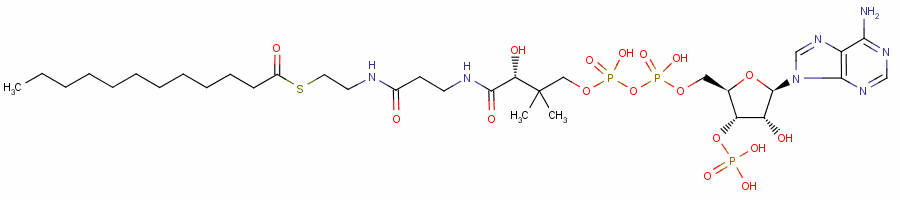 肉豆蔻酰輔酶A結(jié)構(gòu)式_6244-92-4結(jié)構(gòu)式