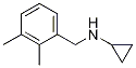 N-(2,3-dimethylbenzyl)cyclopropanamine hydrochlorideStructure,625437-38-9Structure N-(2,3-dimethylbenzyl)cyclopropanamine hydrochloride Structure,625437-38-9Structure