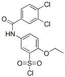5-(3,4-Dichloro-benzoylamino)-2-ethoxy-benzenesulfonyl chlorideStructure,680617-90-7Structure 5-(3,4-Dichloro-benzoylamino)-2-ethoxy-benzenesulfonyl chloride Structure,680617-90-7Structure