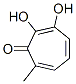 (9ci)-2,3-二羥基-7-甲基-2,4,6-環(huán)庚三烯-1-酮結(jié)構式_690233-50-2結(jié)構式