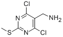 (4,6-Dichloro-2-(methylthio)pyrimidin-5-yl)methanamineStructure,771571-91-6Structure (4,6-Dichloro-2-(methylthio)pyrimidin-5-yl)methanamine Structure,771571-91-6Structure