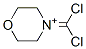 Morpholinium,4-(dichloromethylene)-(9ci)Structure,790600-30-5Structure Morpholinium,4-(dichloromethylene)-(9ci) Structure,790600-30-5Structure