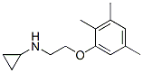 (8ci)-n-[2-(2,3,5-三甲基苯氧基)乙基]-環(huán)丙胺結(jié)構(gòu)式_802834-89-5結(jié)構(gòu)式
